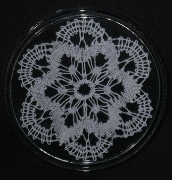 dessous de bouteille fleur blanche