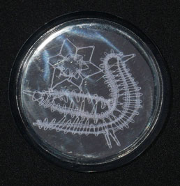 Magnet rond rossignol en torchon