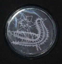 Magnet rond rossignol en torchon