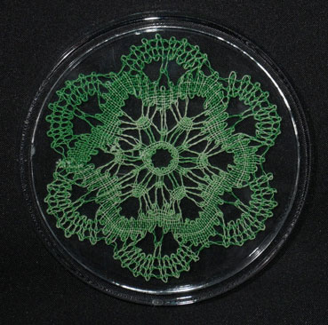 Dessous de bouteille fleur verte