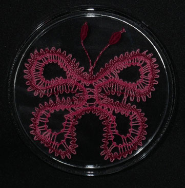 Dessous de bouteille papillon rose